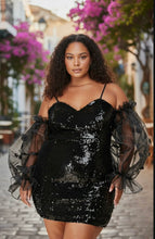 Load image into Gallery viewer, Sabrina's Sheer Sequined Dress
